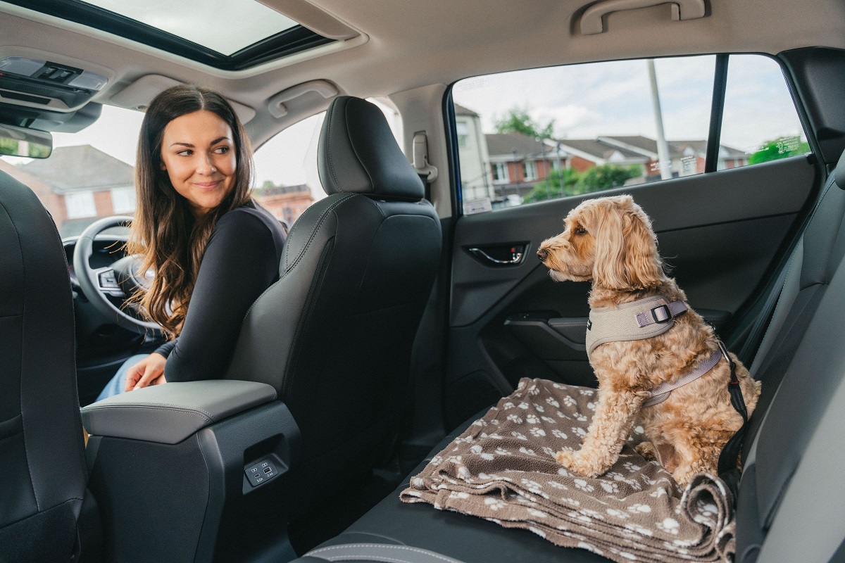 3525-drivies-book-a-subaru-test-drive-with-your-dog-on-international-dog-day-1